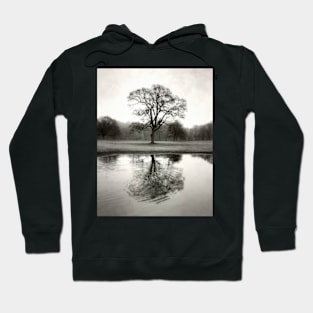 Ripple (tree reflection) Hoodie